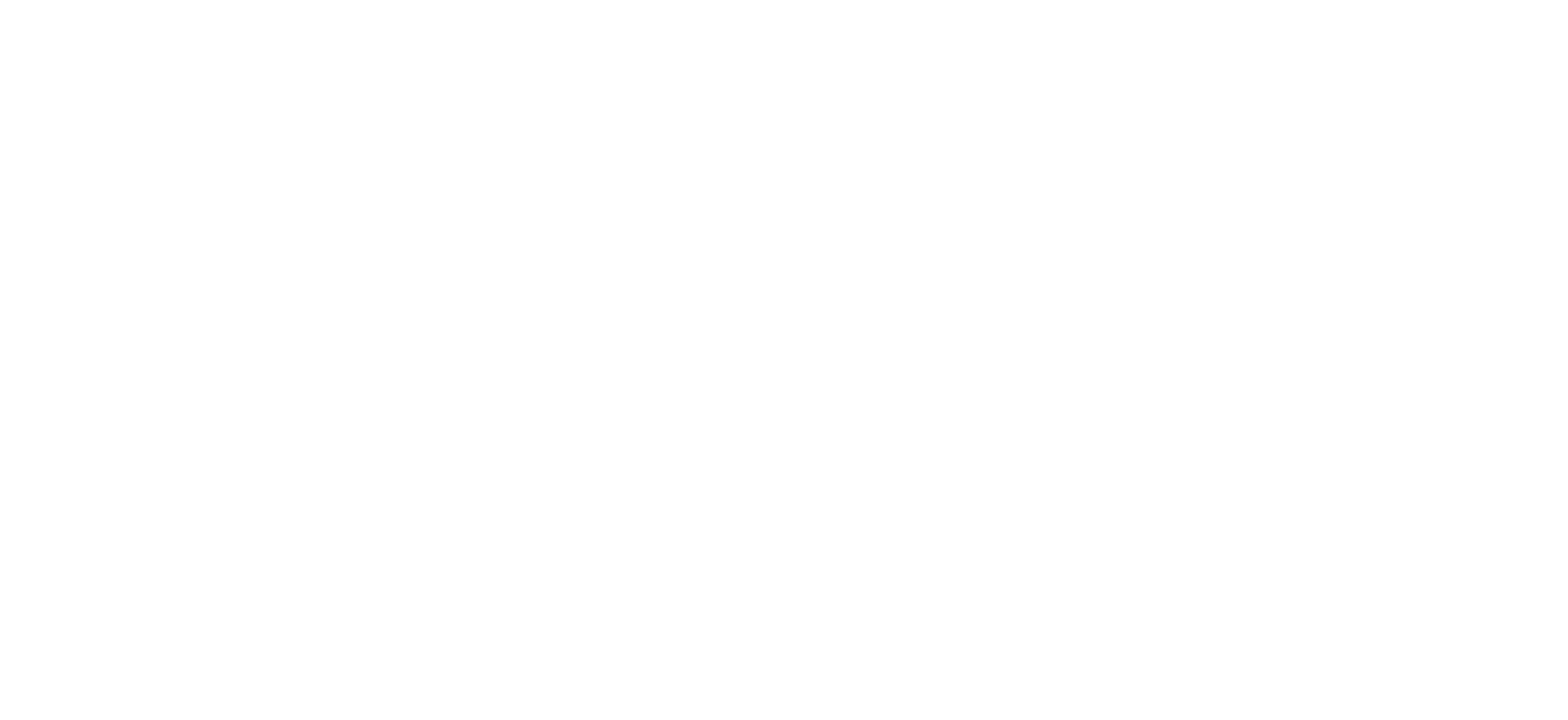 Polito Logo 2021 BIANCO